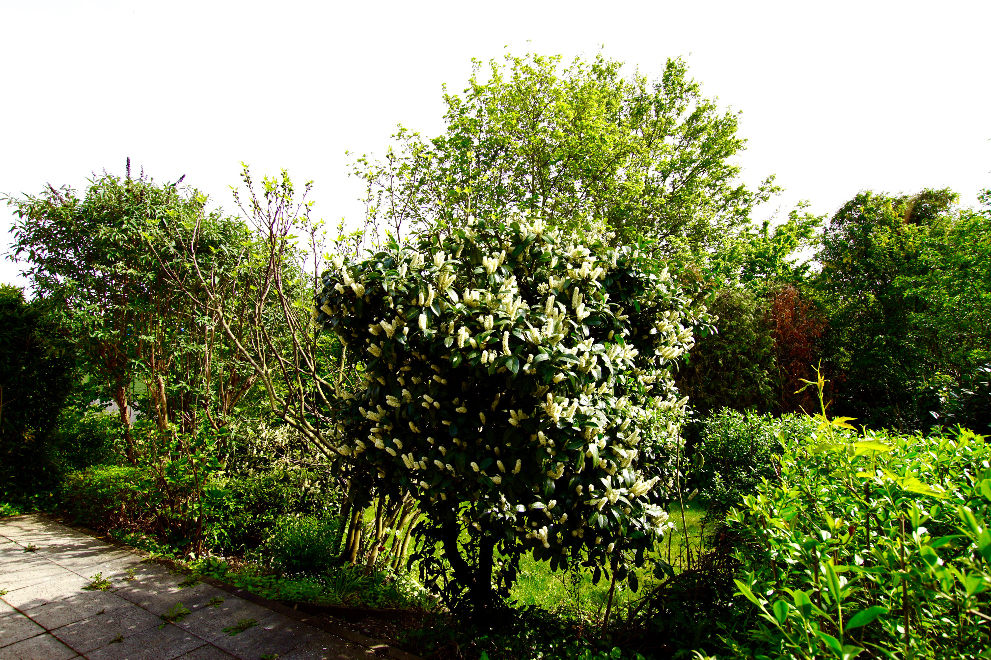 Kurt-Tucholsky-Str. 7