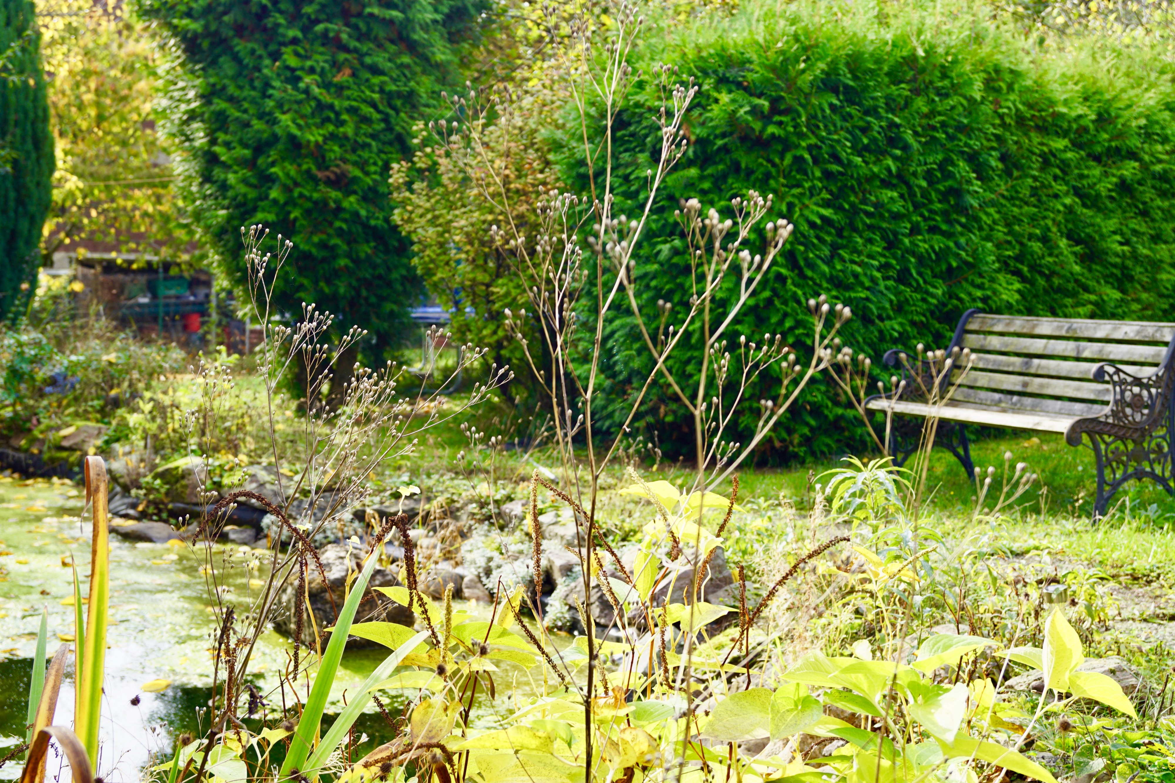 Familienglück mit großem Garten in Wiesbaden Freudenberg
