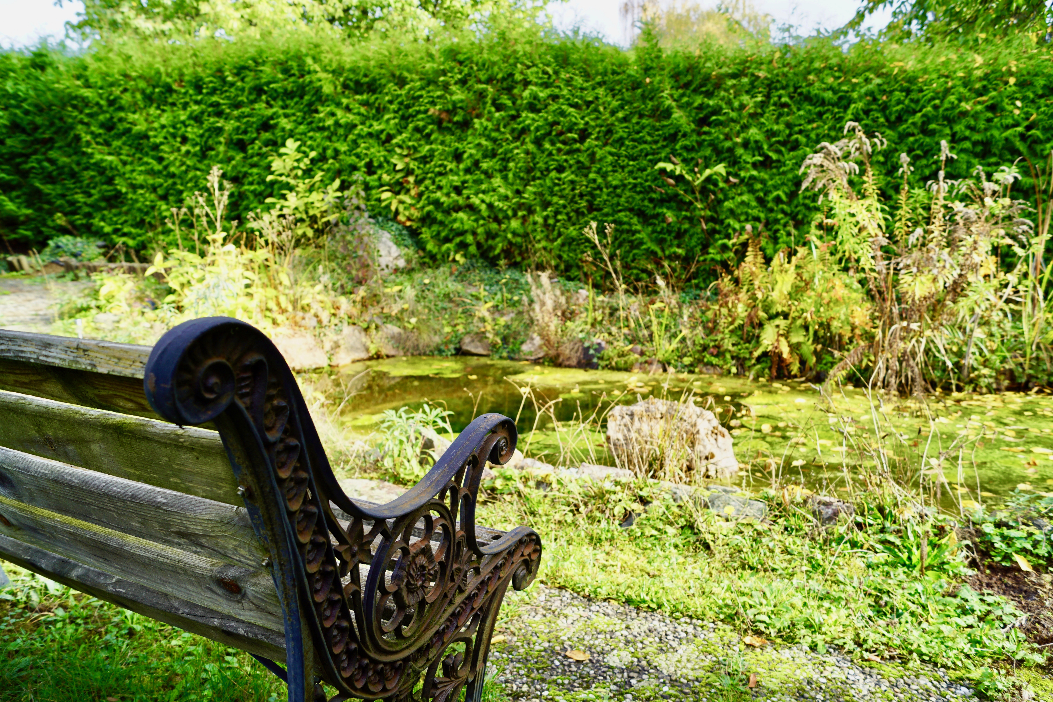 Familienglück mit großem Garten in Wiesbaden Freudenberg