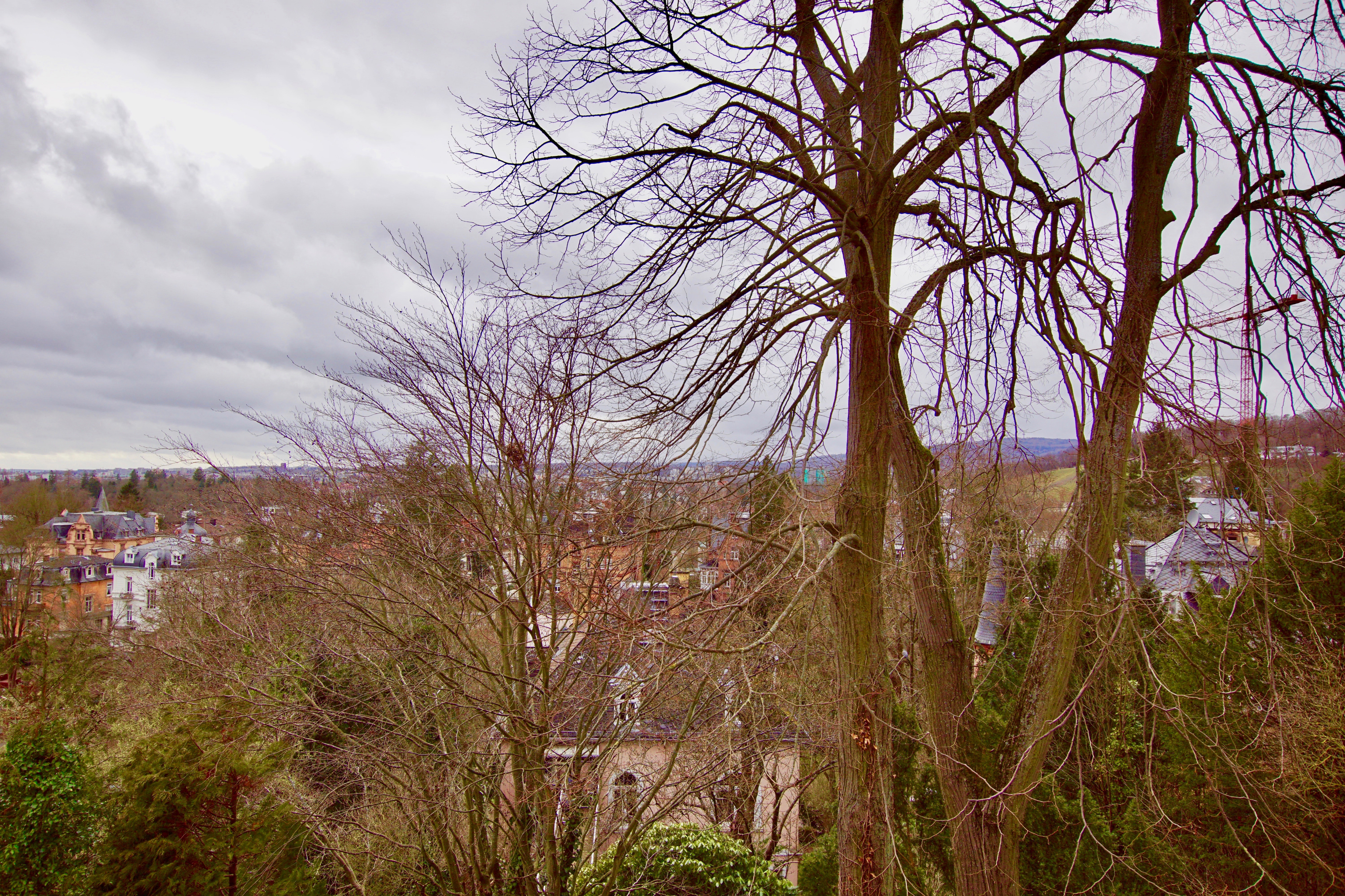 Rarität in bester Lage - Maisonette-Wohnung mit Traumblick über Wiesbaden 