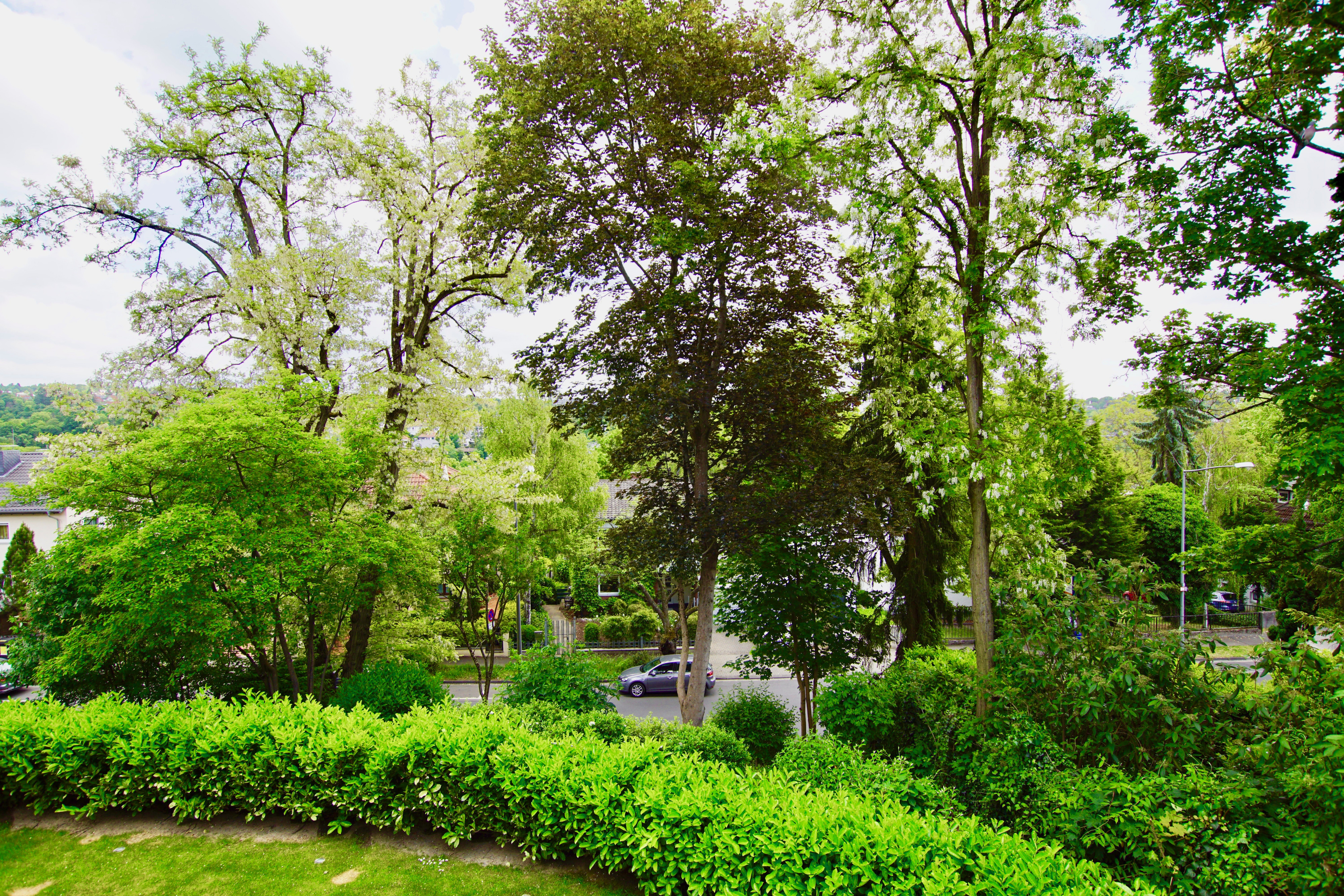 Richard-Wagner-Str. 50, 1. OG